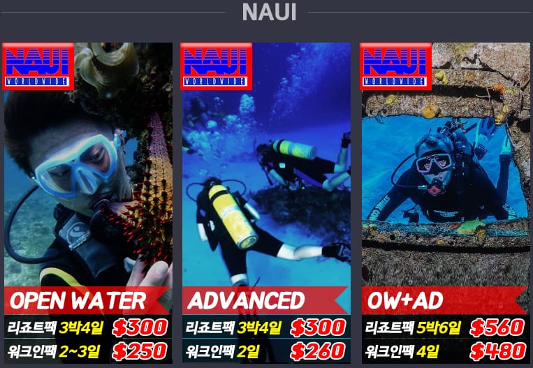 【菲律賓遊學新飛特約商店】宿霧CNC潛水學校 Scuba Academy