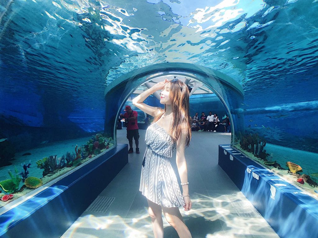 宿霧海洋公園 Cebu Ocean Park