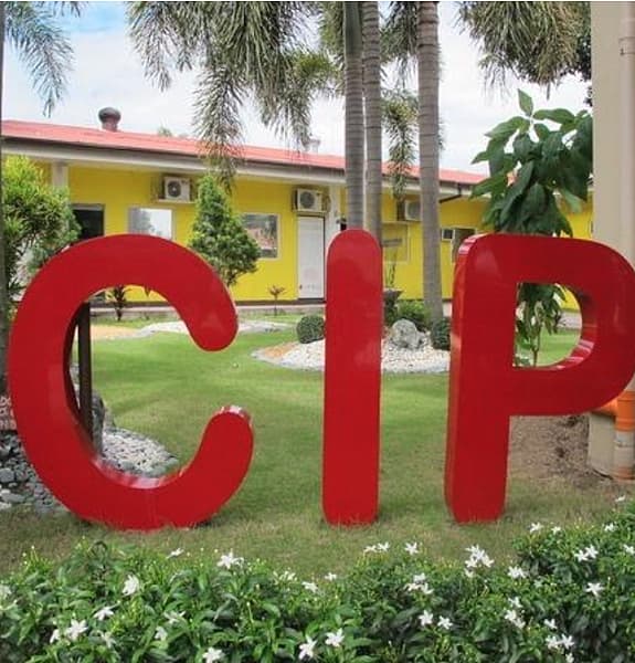 CIP ENGLISH 克拉克語言學校優惠