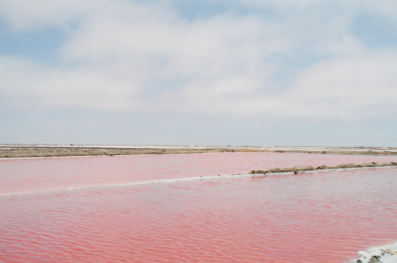 pink lake粉色鹽湖