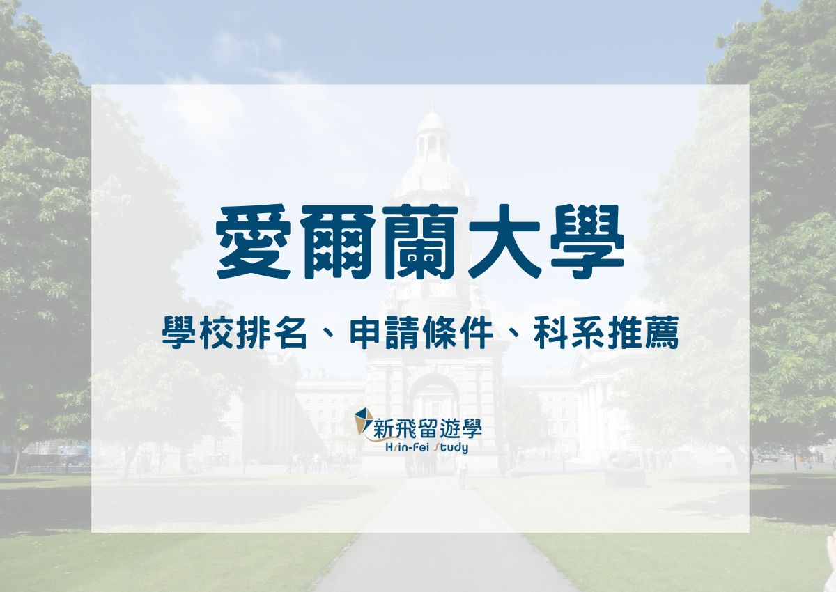 愛爾蘭大學