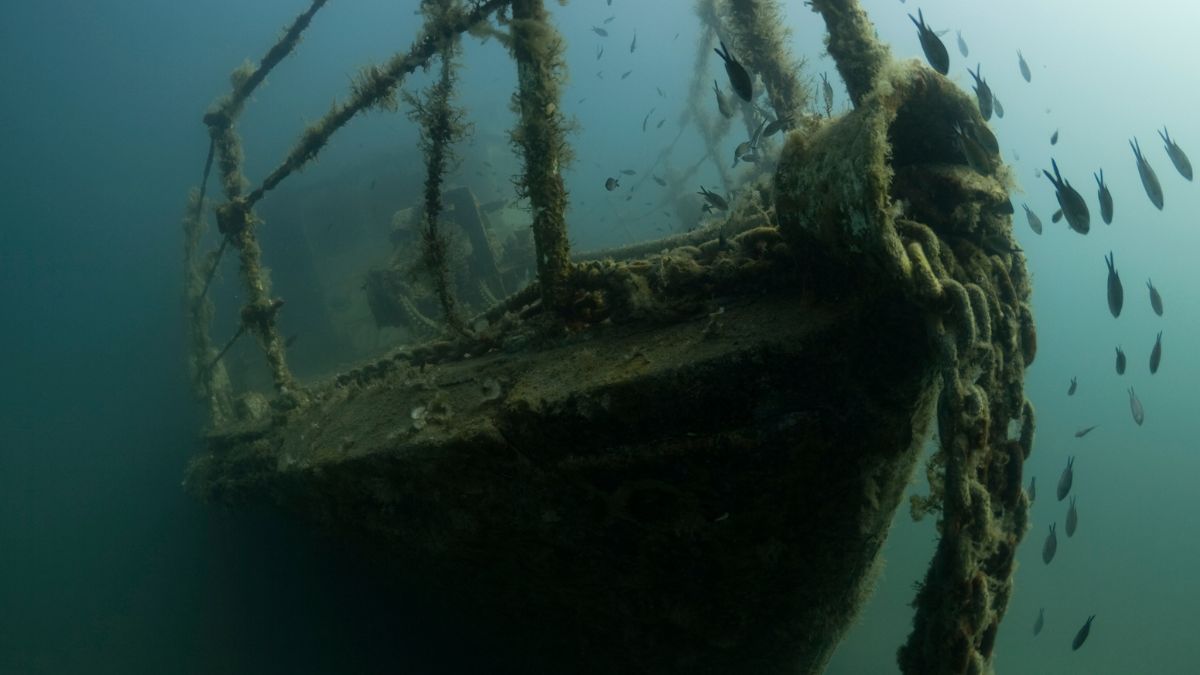 媽媽島行程 Japanese Shipwreck