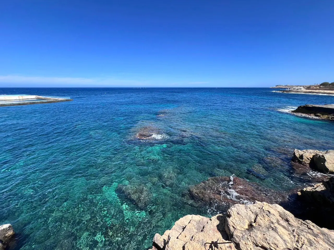 讓我的每一天都充滿了驚奇！