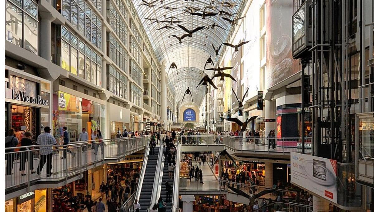 多倫多景點地圖看過來！不可錯過的15+ 必去景點都在這！ - 新飛留遊學中心