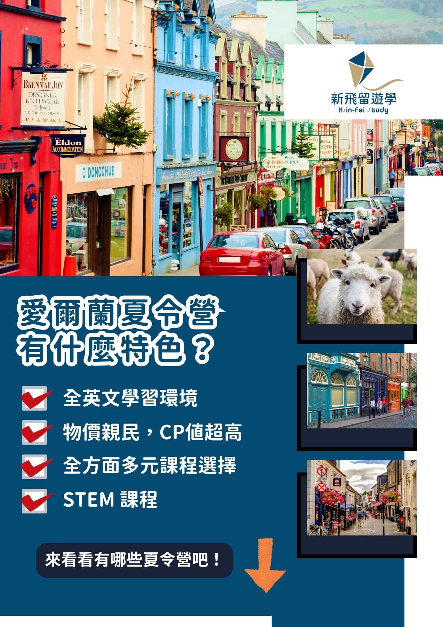 新飛愛爾蘭夏令營特色