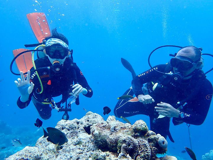 Diversity Cebu Dive&Tours