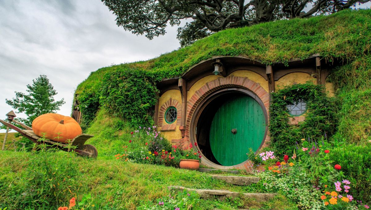 紐西蘭北島景點 2－哈比村 (Hobbiton™ Movie Set)