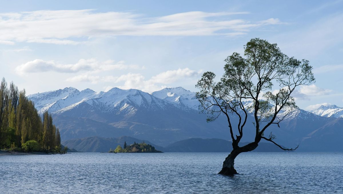 紐西蘭南島景點 4－瓦納卡湖 (Lake Wanaka)
