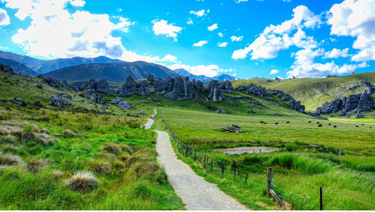 認識紐西蘭美食文化：原來 Kiwi 人這樣吃！