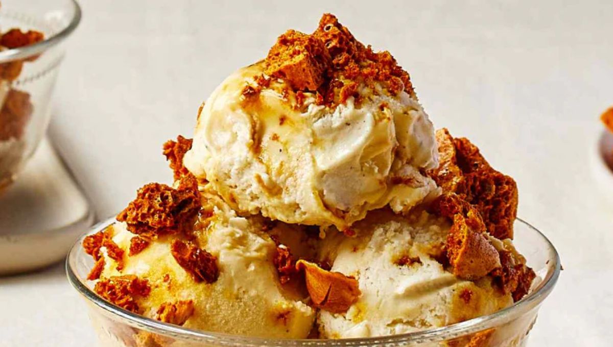 紐西蘭美食 5： Hokey Pokey Ice Cream 香脆蜂巢冰淇淋