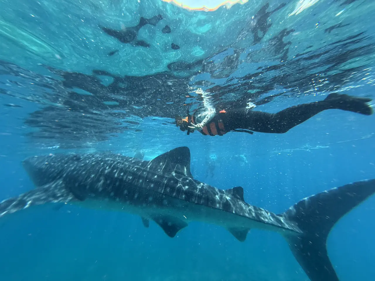 ibreeze 語言學校