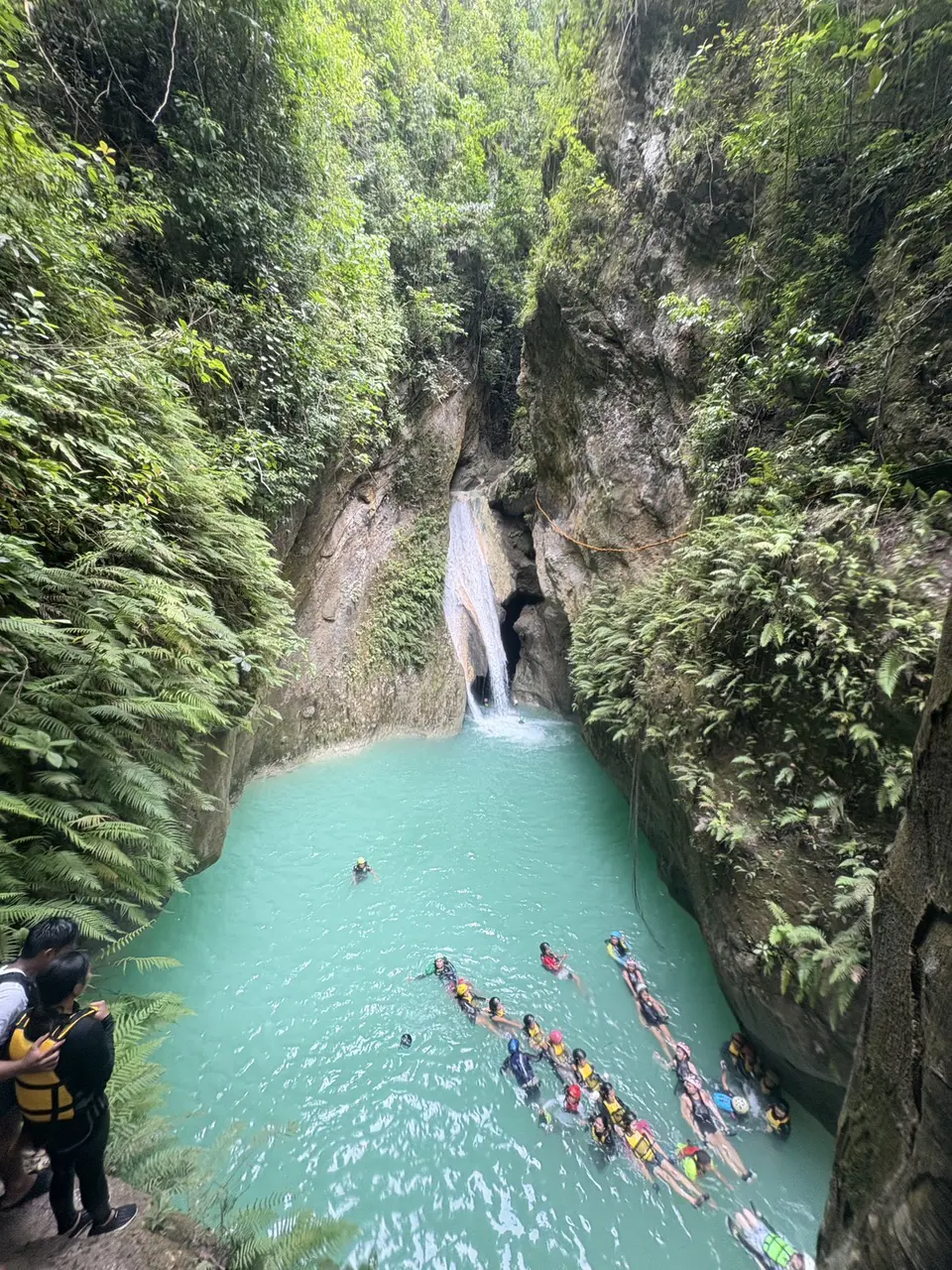 ibreeze 語言學校