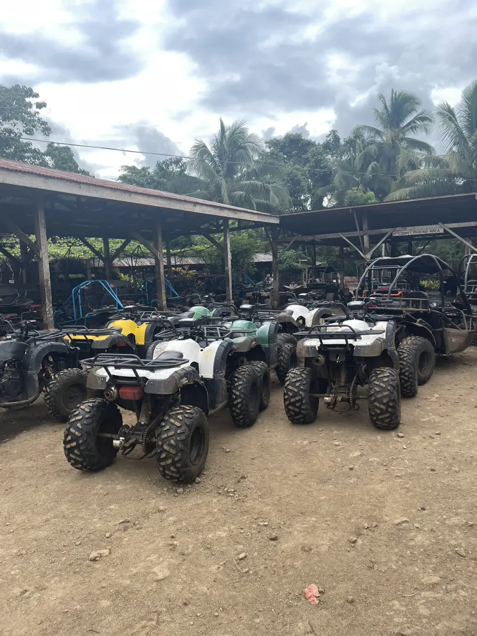 ibreeze 語言學校