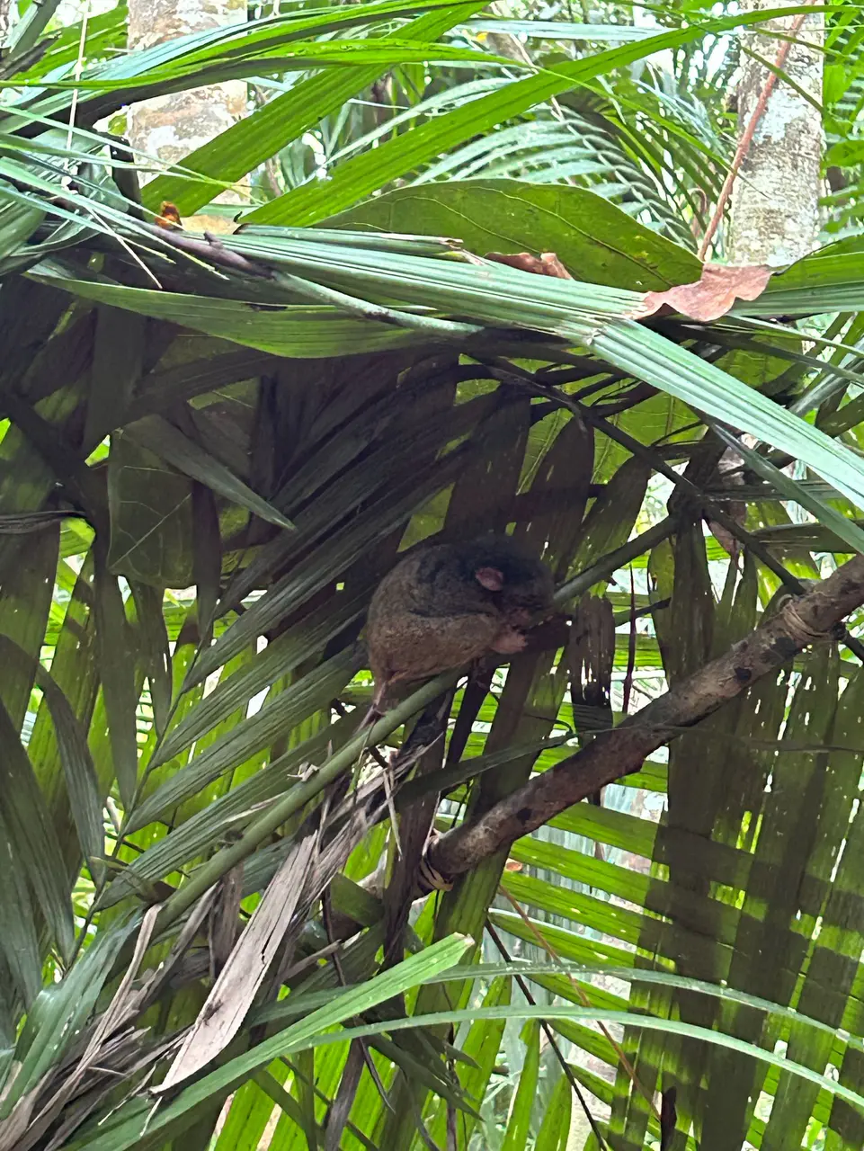 GLC菲律賓語言學校