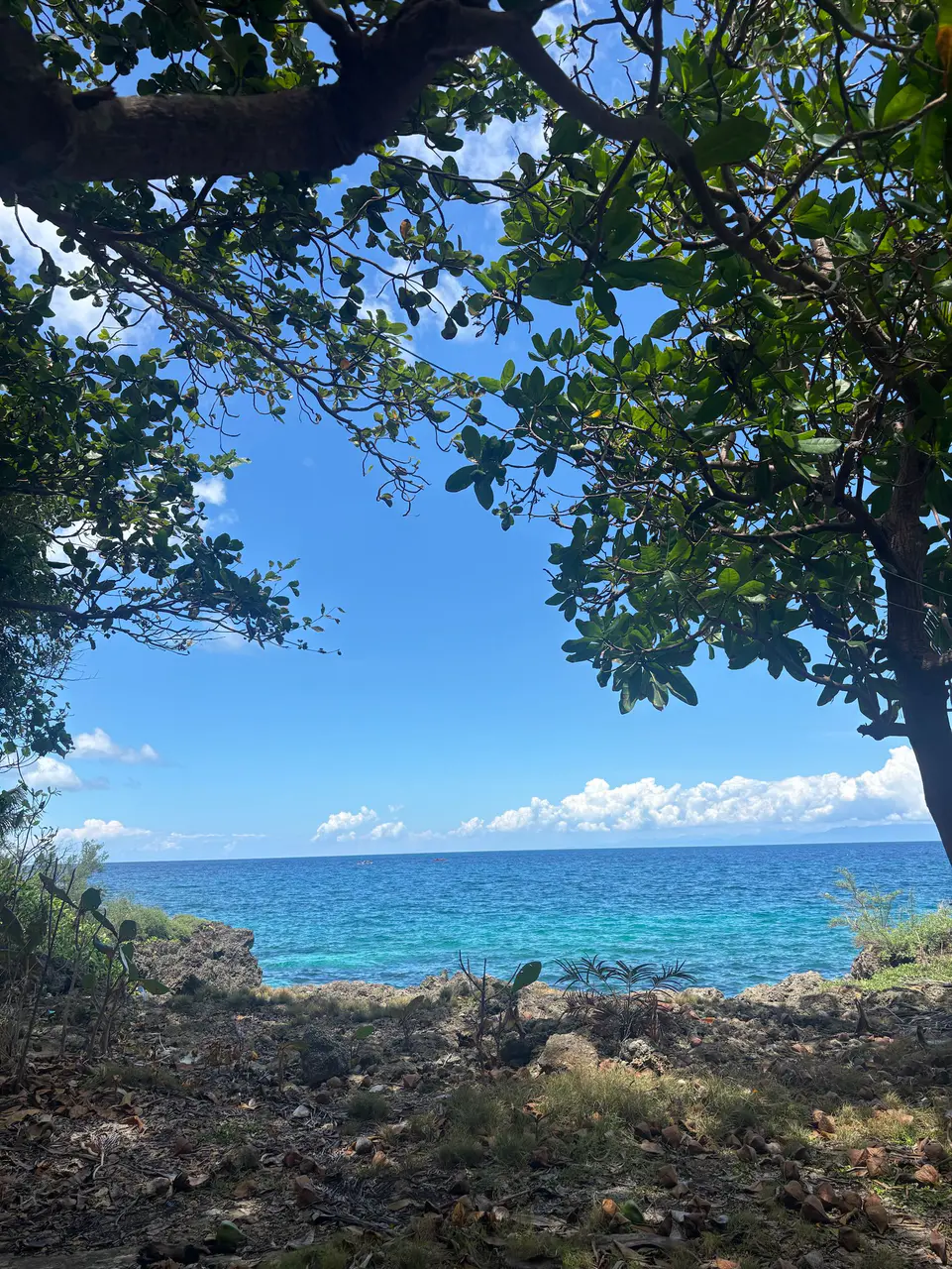 ibreeze菲律賓語言學校