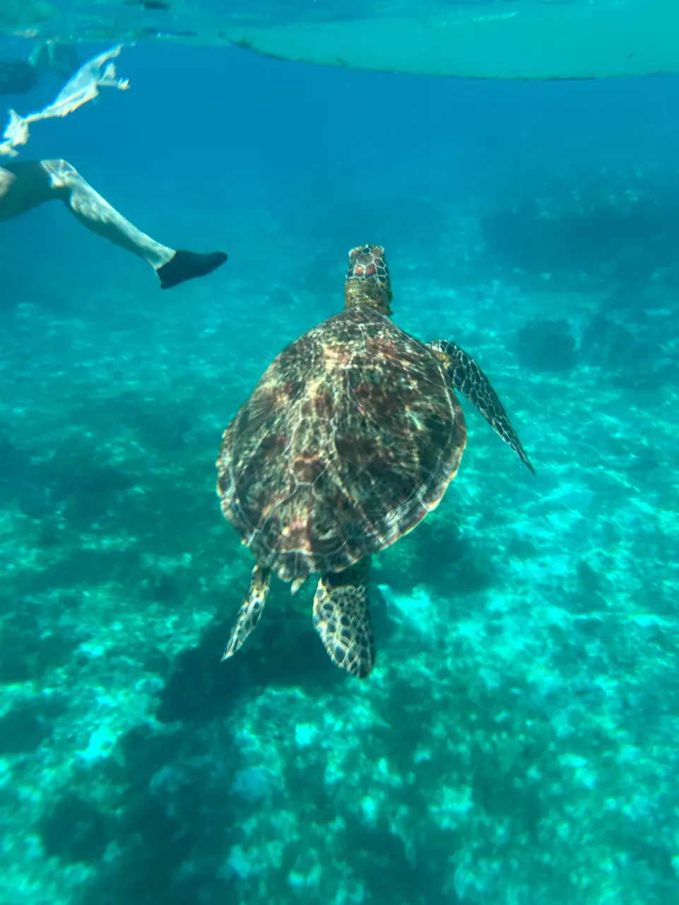 GLC菲律賓語言學校