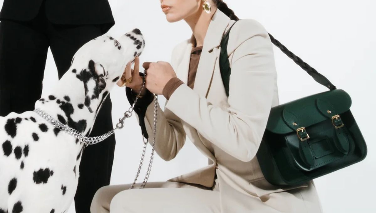 英國必買 3：Cambridge Satchel 劍橋包