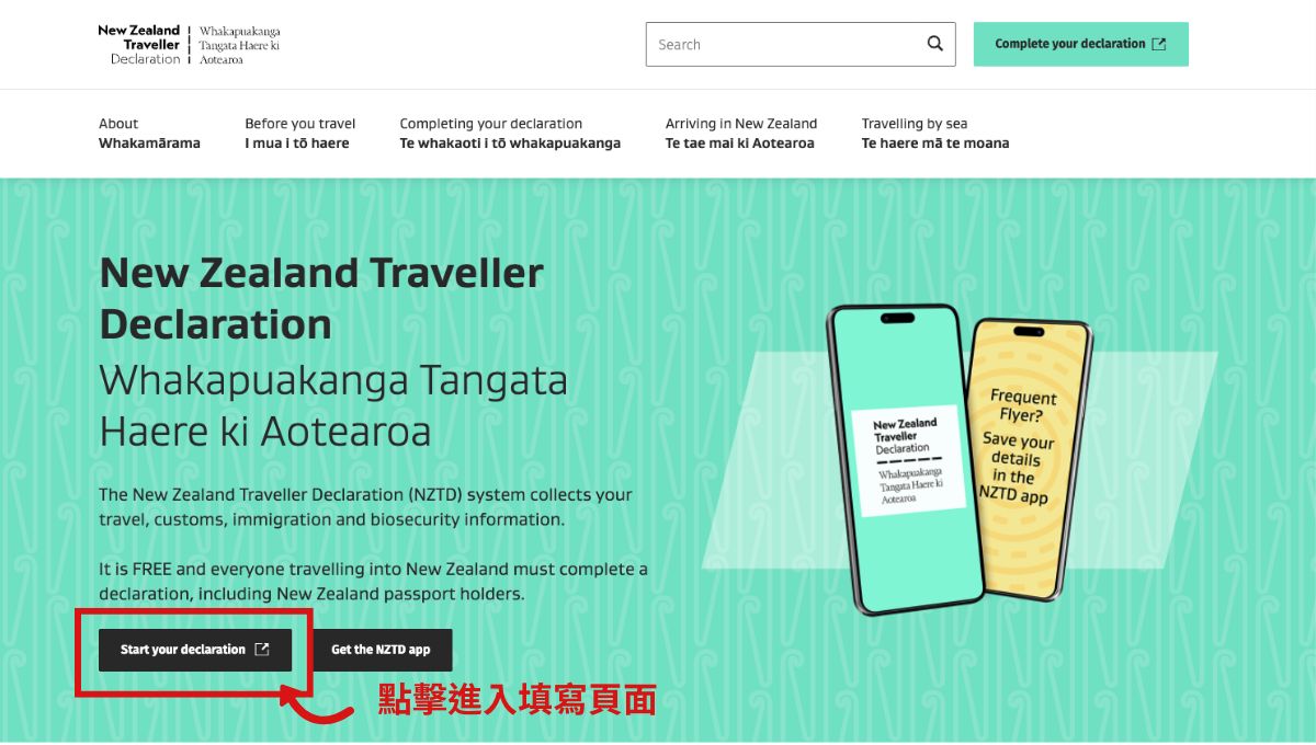 步驟一：進入 NZTD 官方頁面