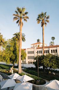 2027 LAX 洛杉磯冬令營 校園棕櫚樹景